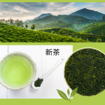 0055 – BIO JAPAN SPRING – SHINCHA OKUMIDORI – RARITÄT limitierte Edition
