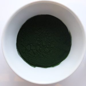 4600 - BIO ALGENPULVER