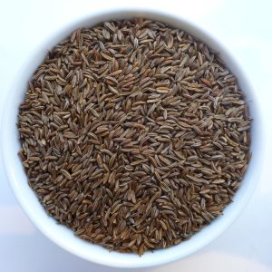 4619 - BIO KÜMMELSAMEN