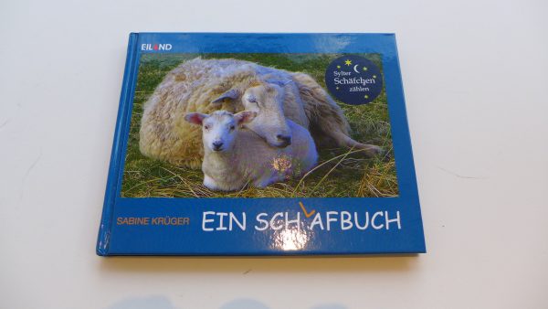 9009 - Sabine Krüger - EIN SCH(L)AFBUCH