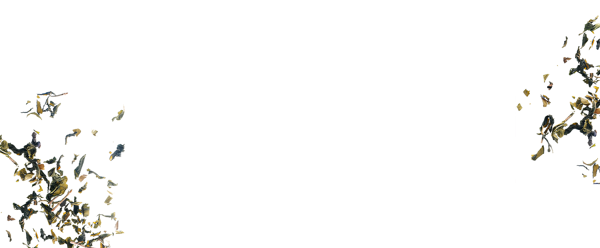 Loser Tee liegt verstreut in den Ecken des Bildes